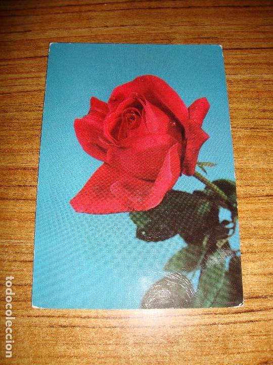 Cartoline: (ALB-TC-51) POSTAL TEMA FLORES ROSAS SIN CIRCULAR ESCRITAS SIN SELLO
