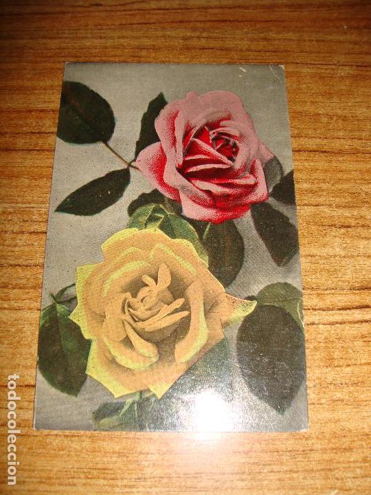 Postales: (ALB-TC-51) ANTIGUA POSTAL TEMA FLORES ROSAS SIN CIRCULAR
