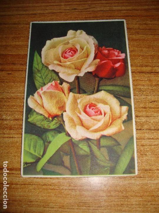 Postcards: (ALB-TC-51) ANTIGUA POSTAL TEMA FLORES ROSAS SIN CIRCULAR