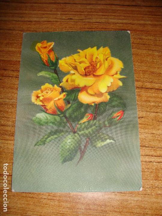 Postais: (ALB-TC-51) ANTIGUA POSTAL TEMA FLORES ROSAS SIN CIRCULAR ESCRITA SIN SELLO