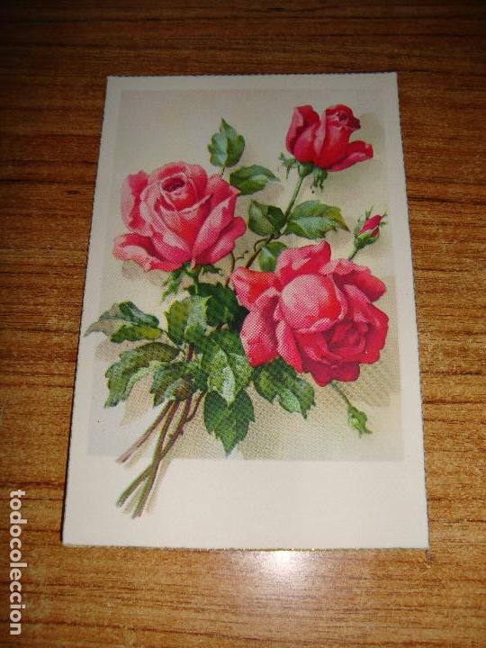 Cartoline: (ALB-TC-51) ANTIGUA POSTAL TEMA FLORES ROSAS SIN CIRCULAR ESCRITA SIN SELLO