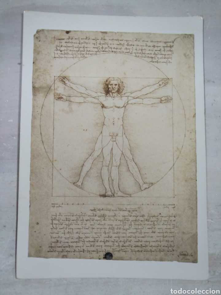 Postales: TARJETA POSTAL DE LEONARDO DA VINCI - Foto 1