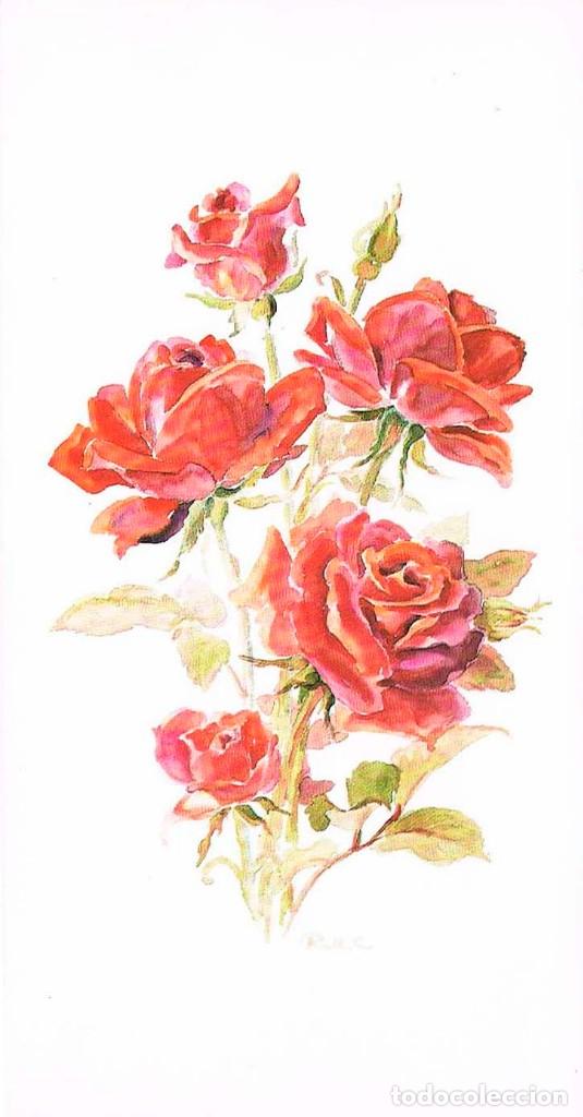 Postales: Rosas, escrita en 1992 - Foto 1