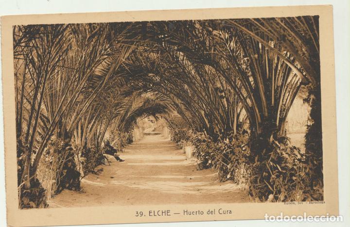 Cartoline: Elche.- Huerto del cura. 39