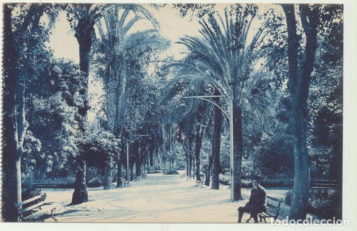 Postales: J&aacute;tiva.- La Glorieta. L. Roisin 7