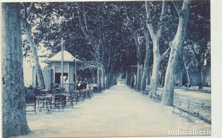 Postales: J&aacute;tiva.- Alameda. L. Roisin 4