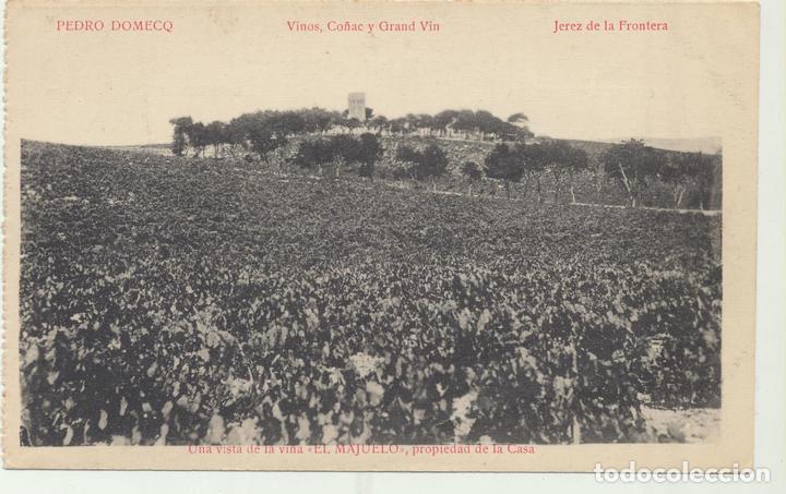 Postales: Jerez.- Una vista de la Vi&ntilde;a El Majuelo. Propiedad de la Casa Pedro Domecq. Mat&eacute;u