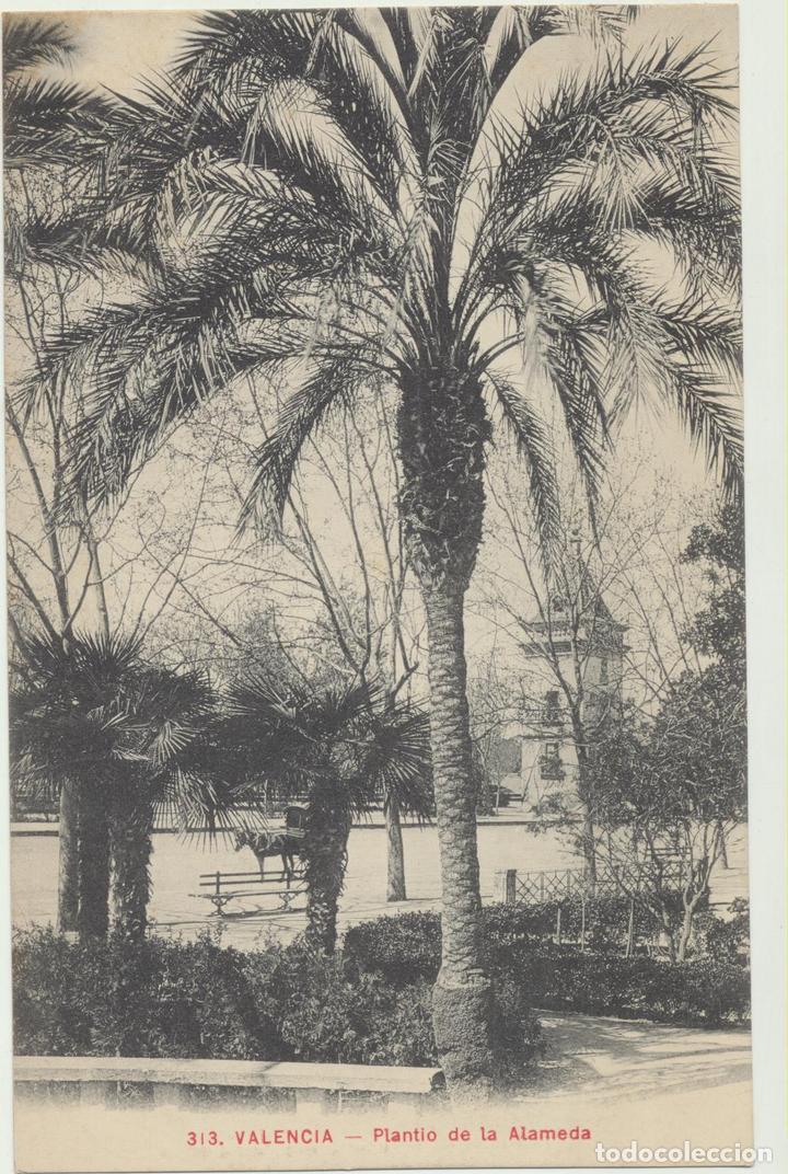 Postales: Valencia.- Plant&iacute;o de la alameda. Andr&eacute;s Fabert 313
