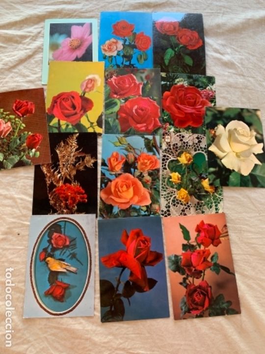 Postales: Postales de flores - Foto 1