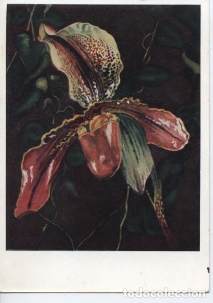Postales: POSTAL FLORES ... ORQUIDEA - Foto 1