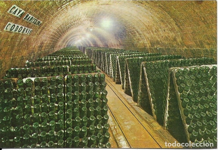 Postales: :::: LC356 - POSTAL - CAVAS CODORNIU - BOTELLAS EN PUPITRE - Foto 1