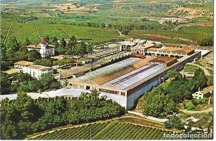 Postales: :::: LC355 - POSTAL - CAVAS CODORNIU - EXTERIORES - Foto 1