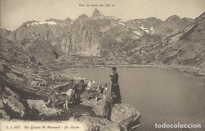 Cartoline: Postal Suiza. Grand St Bernard. La le&ccedil;on. Pain de Sucre J.J. 8921. 9x14 cm. Principios siglo XX.