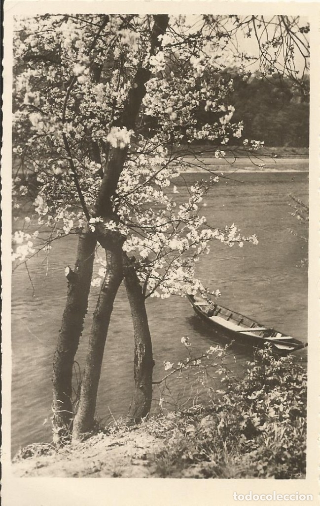 Postcards: Postal Polonia. Paisaje con r&iacute;o. A&ntilde;os 30. Postal.