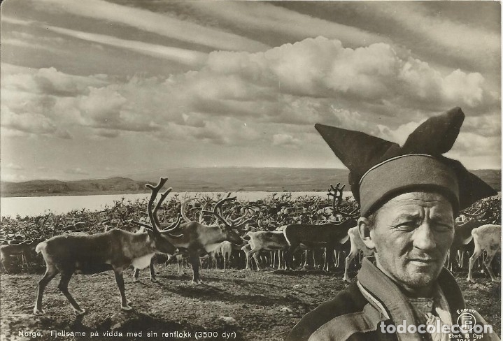 Cartoline: Postal Norge. Noruega. Fjellsame pa vidda med sin renflokk. 9x14 cm. A&ntilde;os 30.