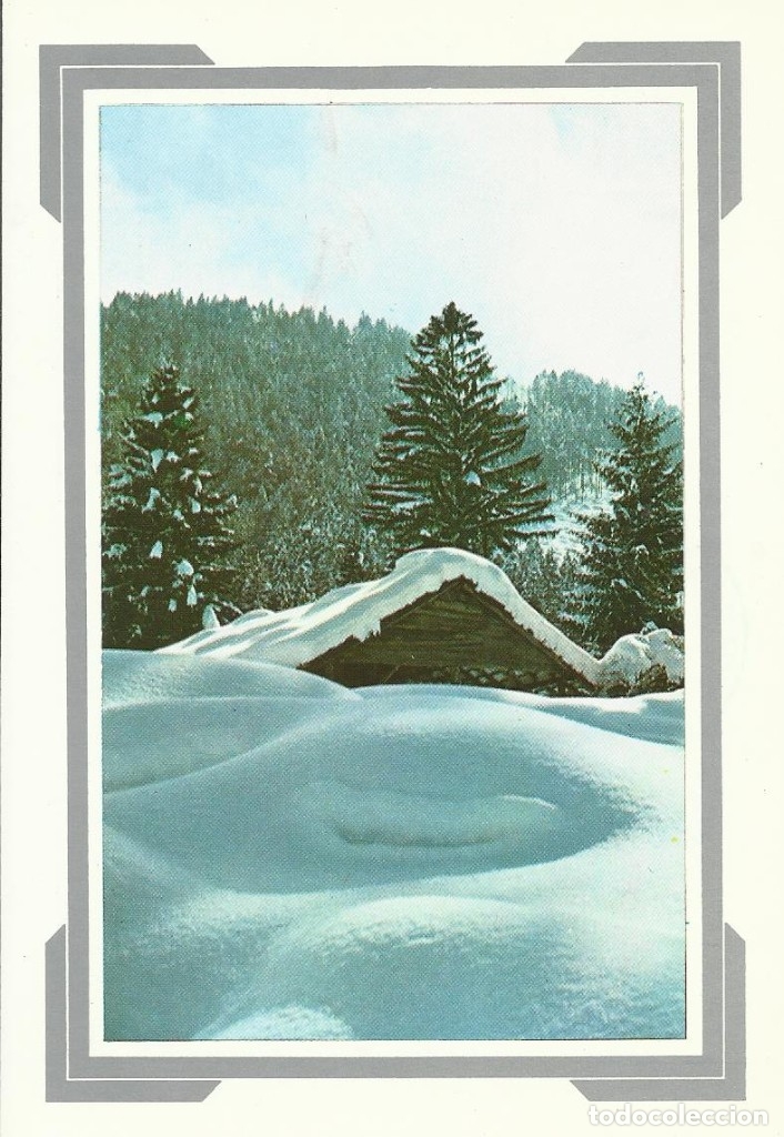 Postcards: Navidad. Rusia. CCCP. URSS. Buen estado. Escrita. A&ntilde;os 90. 10x15 cm. Paisaje nevado. Postal.