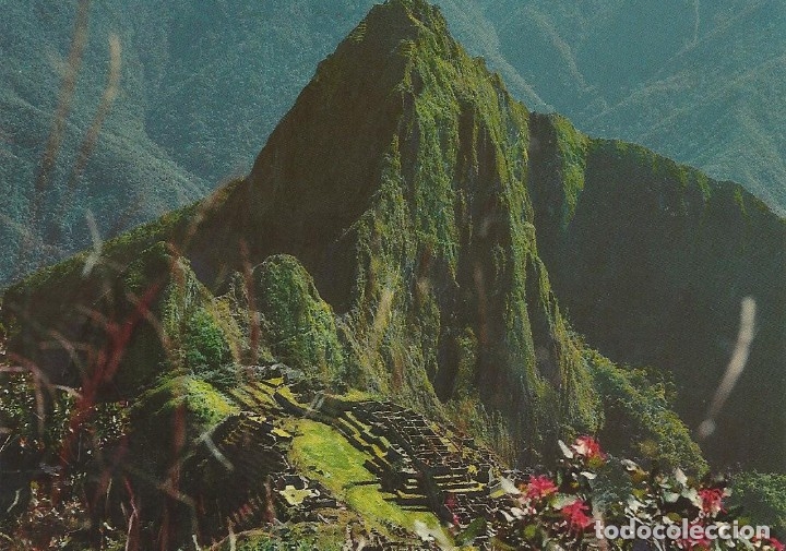 Cartoline: Machu Picchu. Per&uacute;. 1987. Buen estado. Escrita por detr&aacute;s. 10,5x15 cm. Postal.