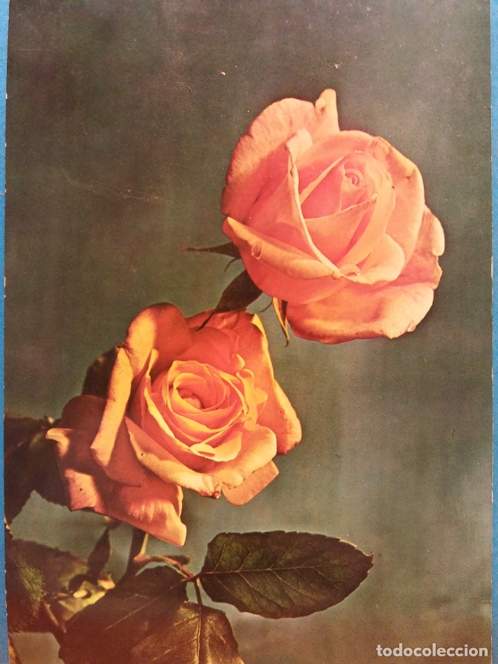 Postais: POSTAL N&ordm; 20071-4. ROSAS. USADA