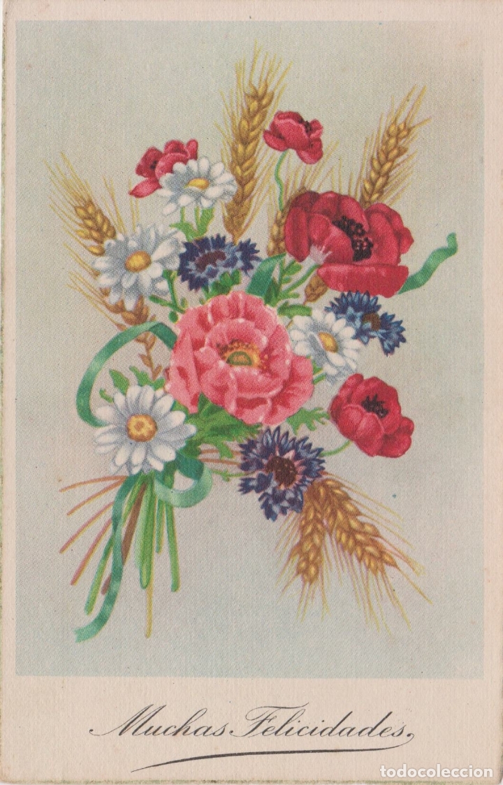 Postales: ILUSTRADOR: DESCONOCIDO, MUCHAS FELICIDADES, FLORES &ndash; EDICIONES COL&Oacute;N SERIE 151/9 &ndash; ESCRITA 1963