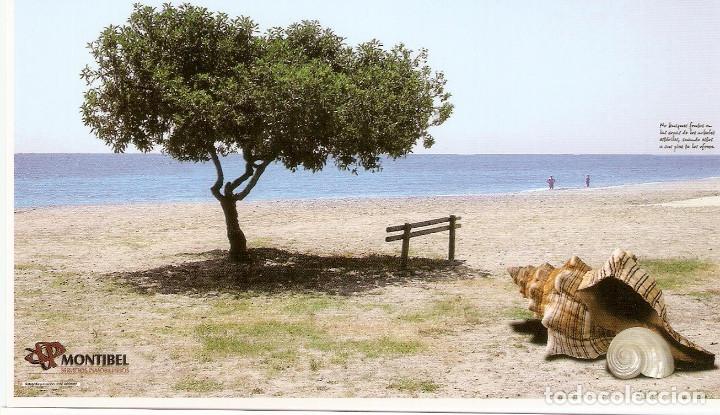 Postcards: POSTAL PUBLICITARIA SERVICIOS INMOBILIARIOS MONTIBEL - MONCOFA - CASTELLON