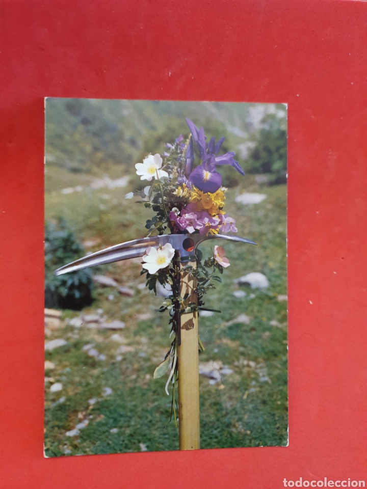 Postales: Piolet y Flora de los Pirineos. Circulada - Foto 1