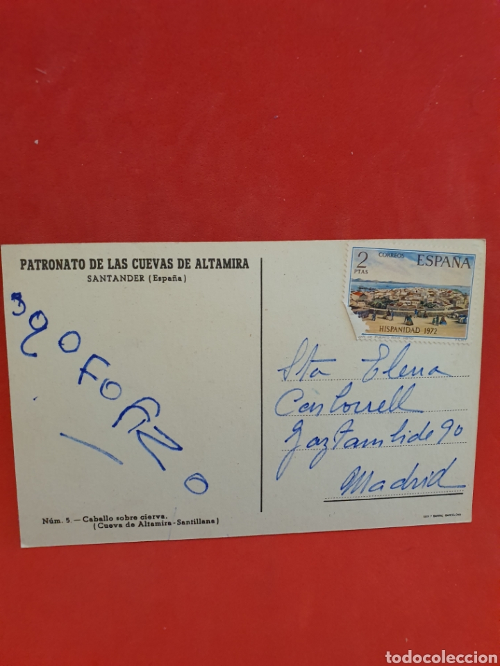 Postales: Santander. Caballo sobre Cierva. Circulada. - Foto 2