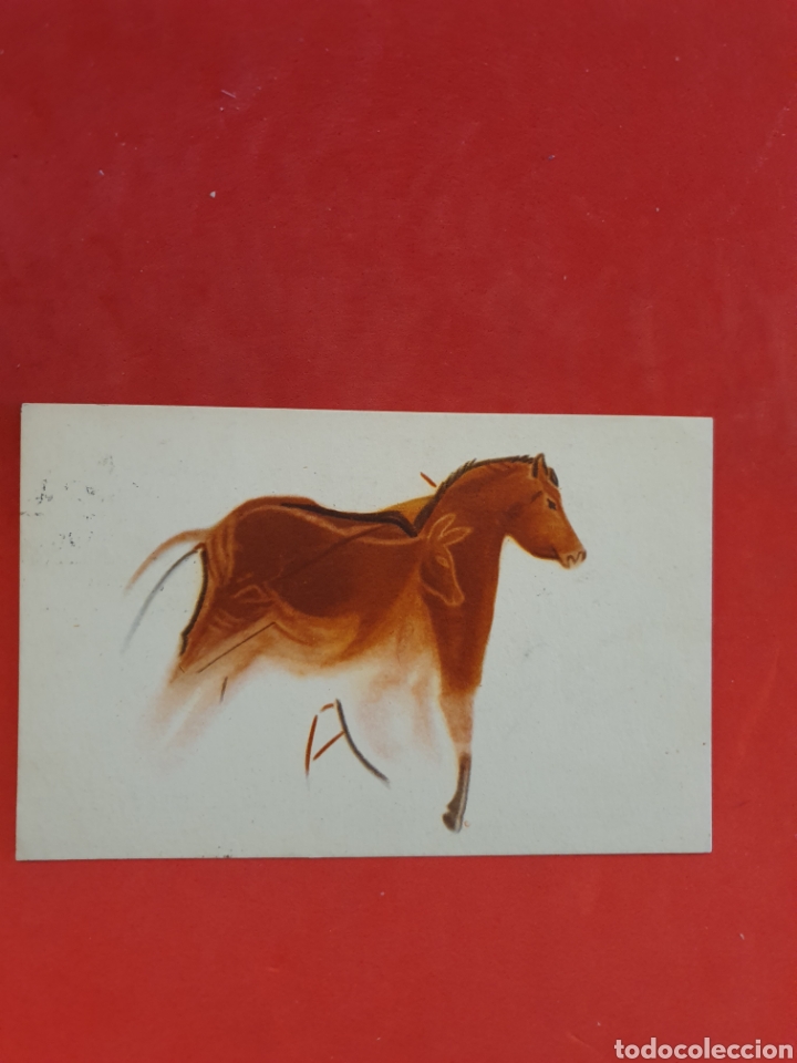 Postales: Santander. Caballo sobre Cierva. Circulada. - Foto 1