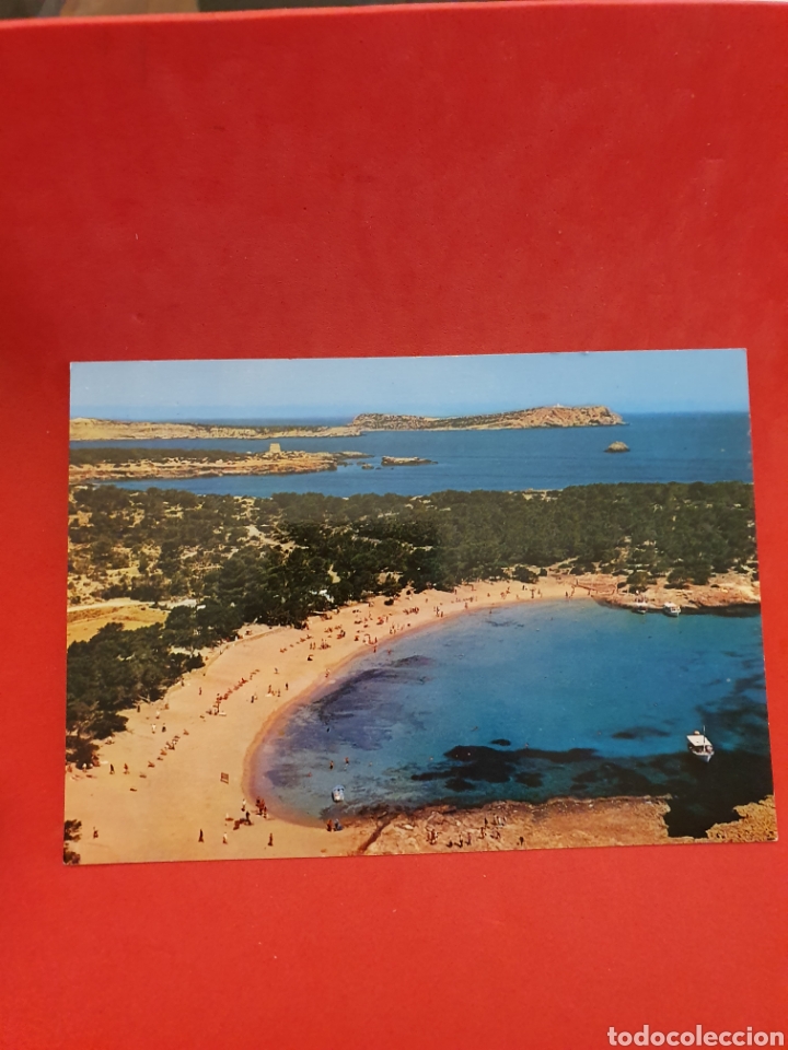 Postales: Ibiza. Cala Bassa. - Foto 1