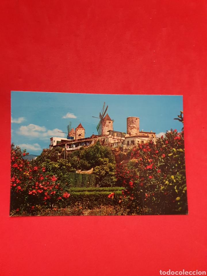 Postales: Mallorca.Molinos se el Jonquet. - Foto 1