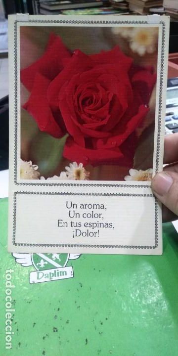 Postales: Postal Rosa n 8671- C. C y Z - Foto 1