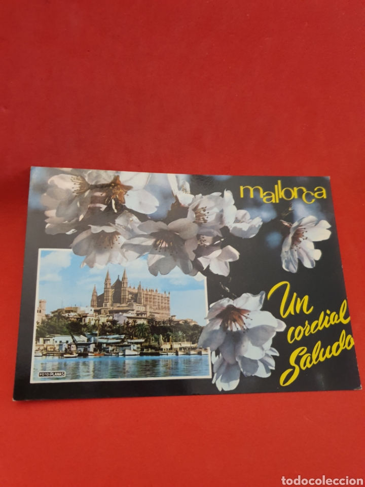 Postales: Mallorca.La Catedral.Circulada. - Foto 1