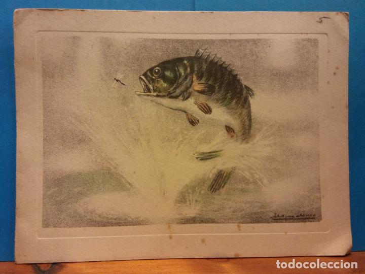 Postales: PEZ. D&Iacute;PTICO. SIN USAR - Foto 1