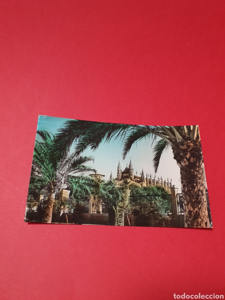 Postales: Mallorca.Palma.Catedral.Circulada. - Foto 1