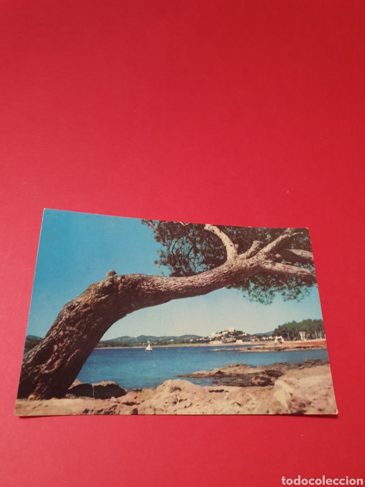 Postales: Ibiza. Santa Euralia.Circulada. - Foto 1