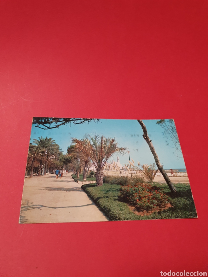 Postales: Sitges.Paseo y Jardines.Circulada. - Foto 1