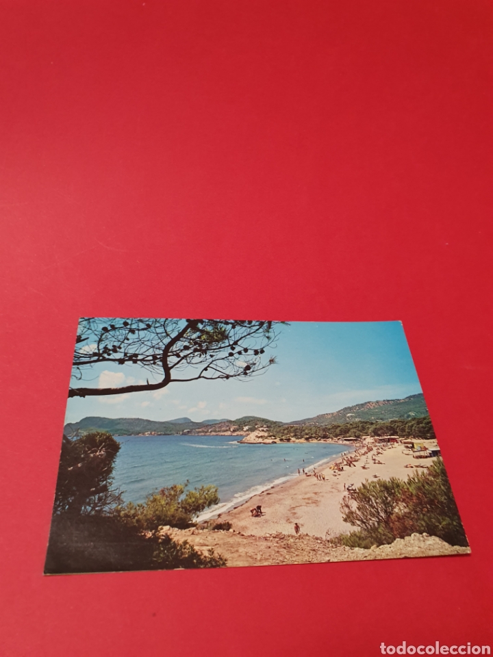 Postales: Mallorca.Playa de Tora.Circulada. - Foto 1
