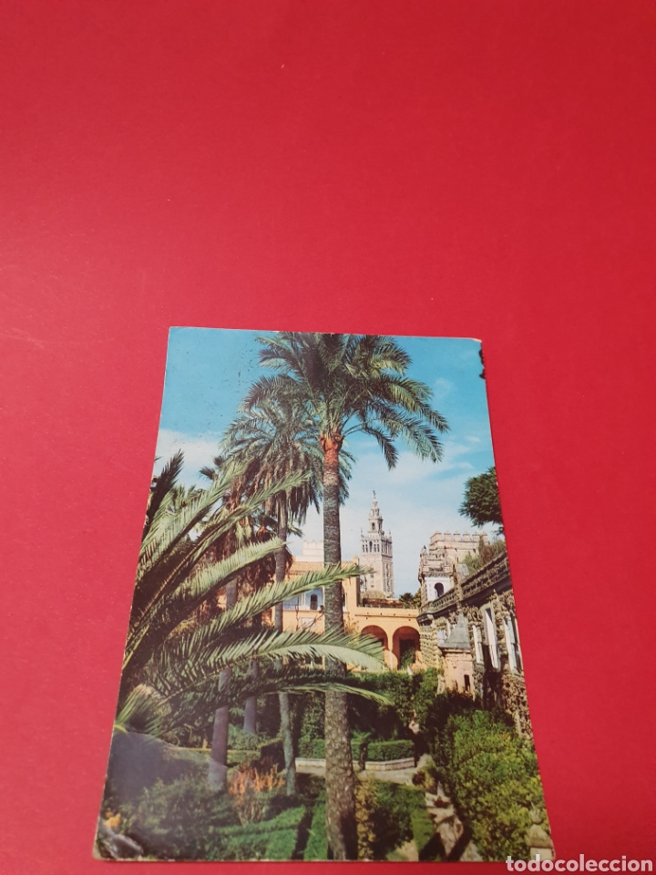 Postales: Sevilla.Jardines del Alcazar.Circulada. - Foto 1
