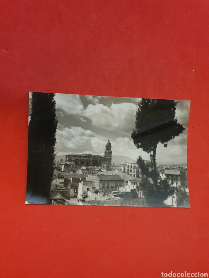 Postales: M&aacute;laga.Catedral desde Gibralfaro.Circulada.1961. - Foto 1