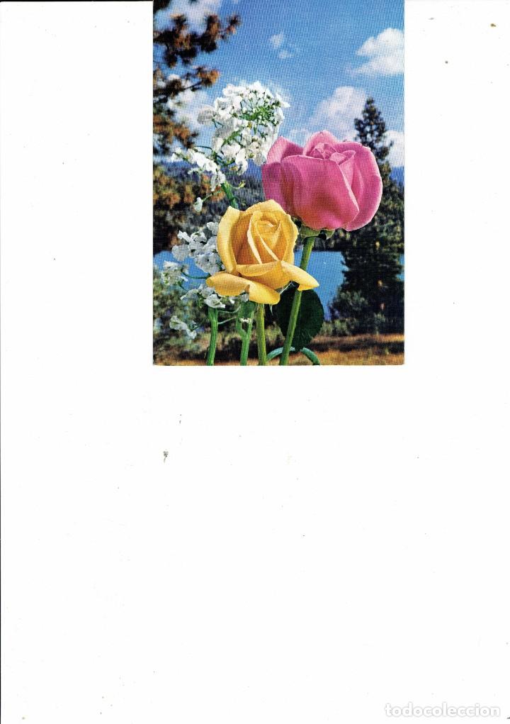Postales: POSTAL, ARTISTICA, ESCRITA ED. C.Y.Z. - Foto 1