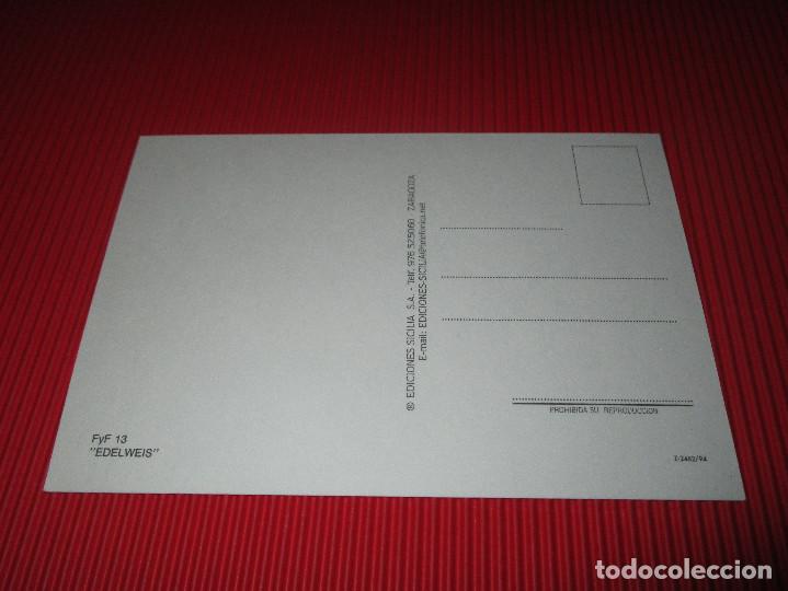 Postales: EDELWEIS - FYF 13 - SIN USAR - EDICIONES SICILIA S.A. - Foto 2