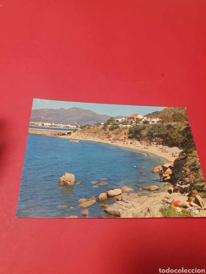 Postales: Rosas.Un rinc&oacute;n Pintoresco. - Foto 1