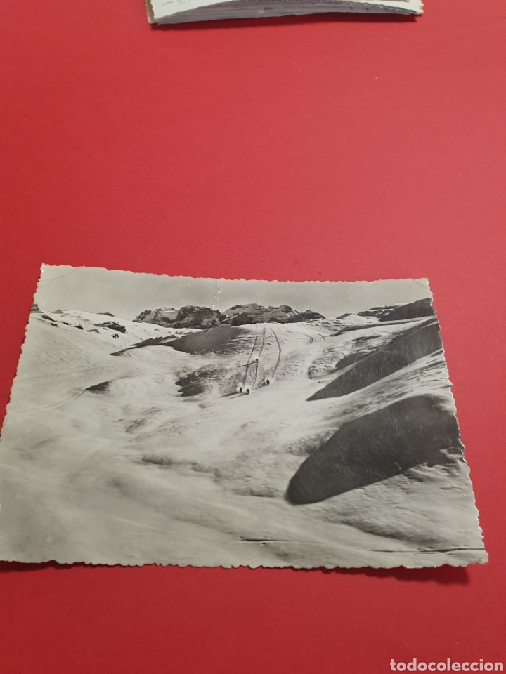 Postales: Madonna di Campiglio.Circulada.1954. - Foto 1