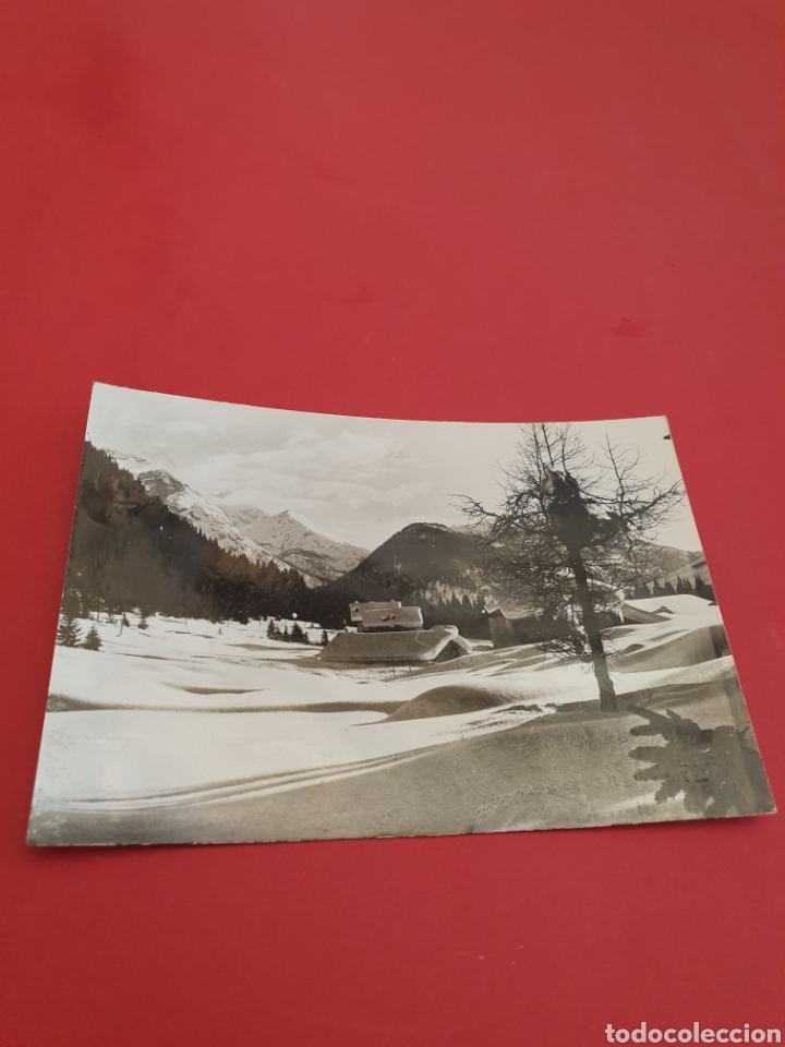 Postales: Madonna di Campiglio.Circulada.1955.
