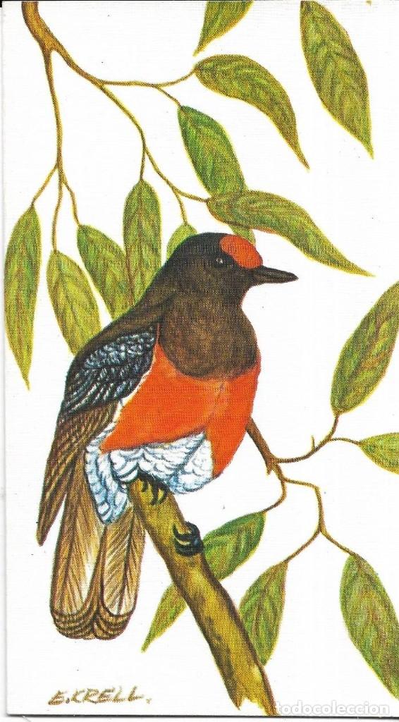 Postales: *** PG266 - POSTAL - PAJARITO - Foto 1