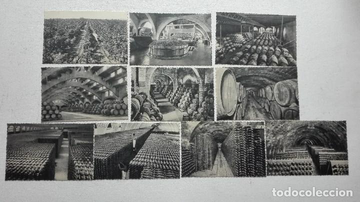 Postales: COLECCION DE 10 POSTALES CODORNIU - Foto 3