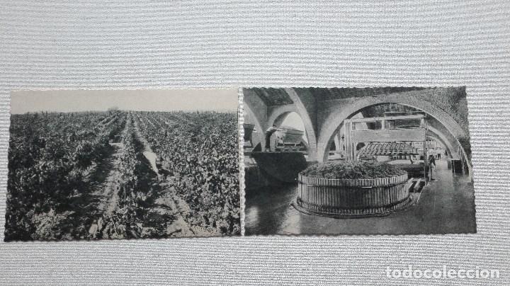 Postales: COLECCION DE 10 POSTALES CODORNIU - Foto 5