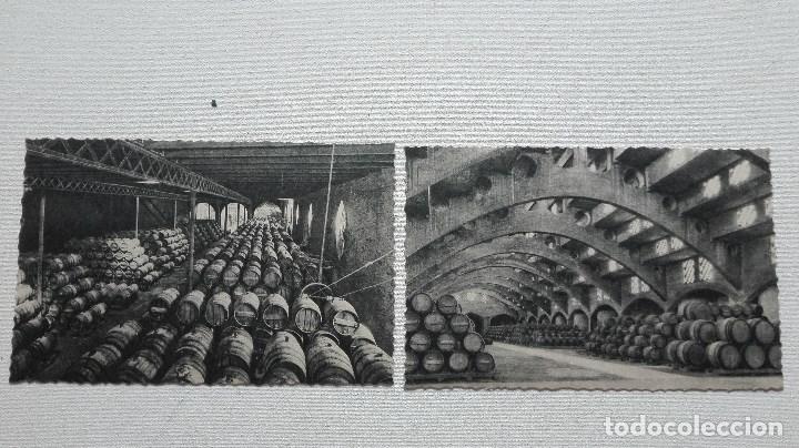 Postales: COLECCION DE 10 POSTALES CODORNIU - Foto 6