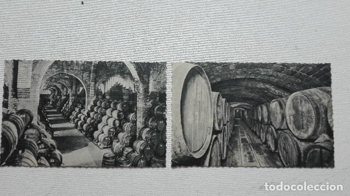 Postales: COLECCION DE 10 POSTALES CODORNIU - Foto 7