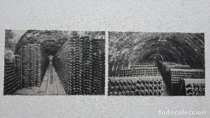 Postales: COLECCION DE 10 POSTALES CODORNIU - Foto 9
