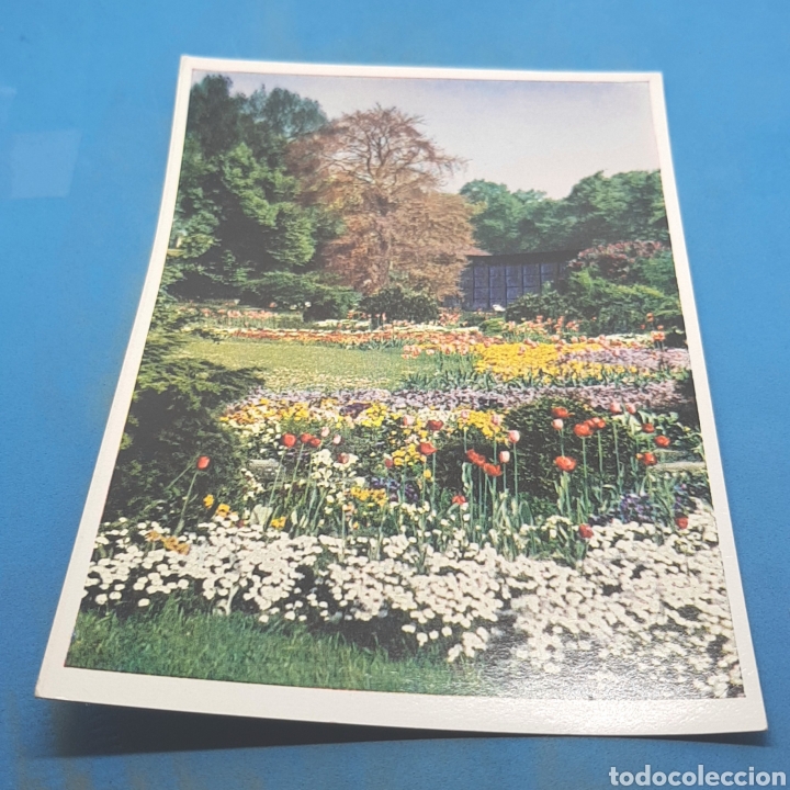 Postales: (CV.08) TARJETA POSTAL. HAMBURG - Foto 1